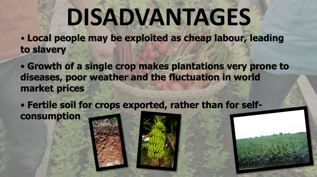 geography of food production